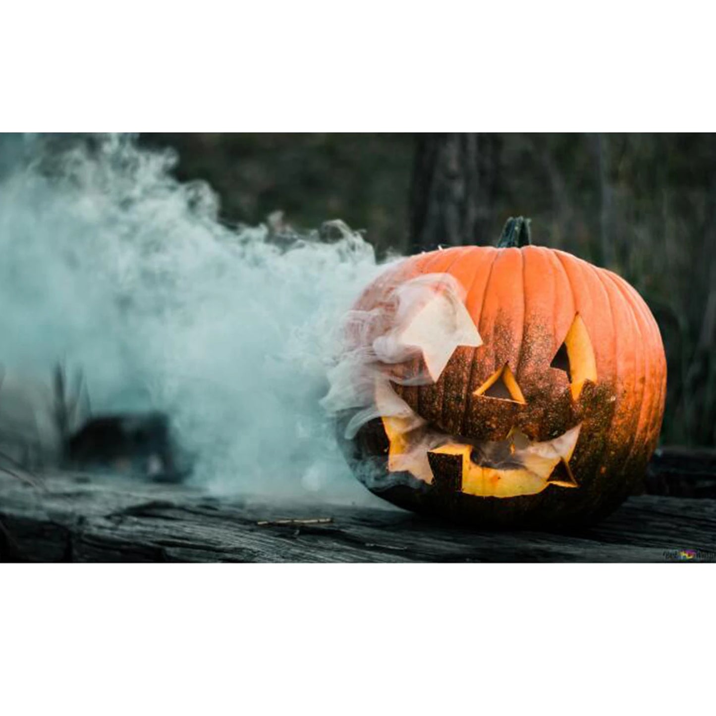 Halloween Fogger